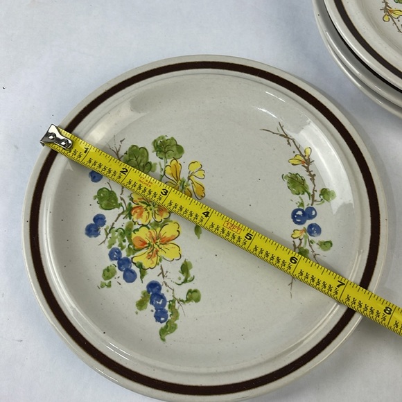 Floral Inspirations “Blossoms & Berries” Stoneware Plate Set - Picture 10 of 10